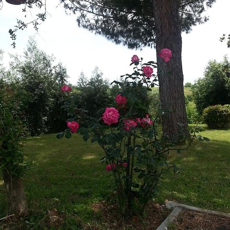 La Finestra Sul Cortile Bed & Breakfast โปเมเซีย ภายนอก รูปภาพ